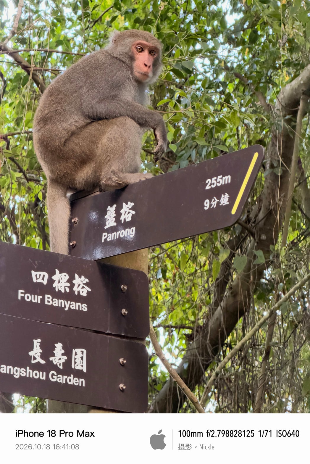 shoushan-macaque-trail-sign.jpg