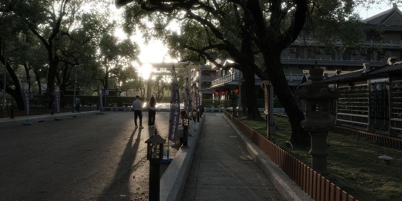 楠梓慈雲寺：黃昏大樹下的靜謐廟埕